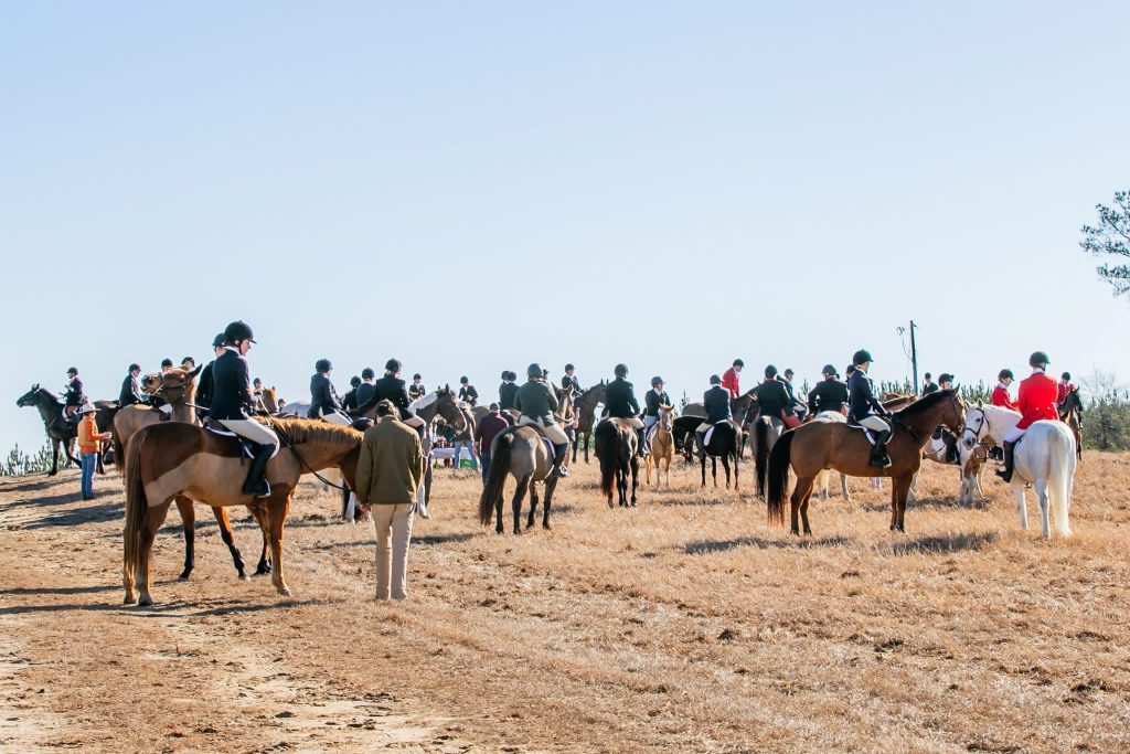 Large group of hunt riders and horses standing in field.