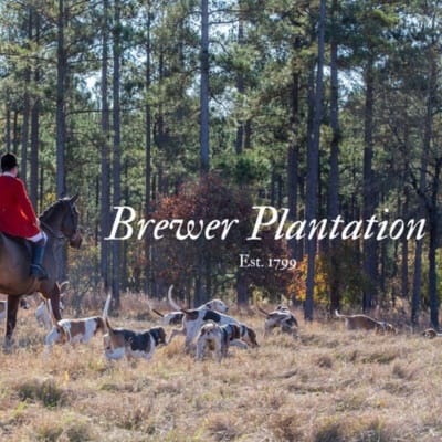 Brewer Plantation image of hunt rider and hounds in field.