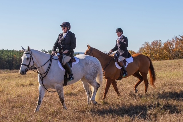 Two hunt riders on horse walking in field.
