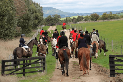 Hunt field walking through gate.