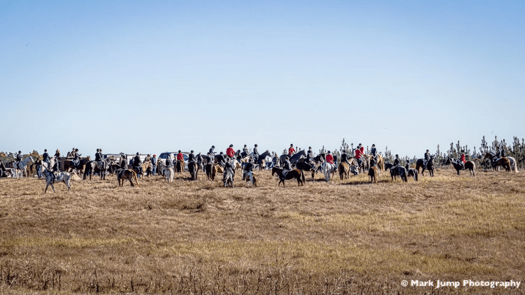 Large group of hunt riders and horses standing in field.