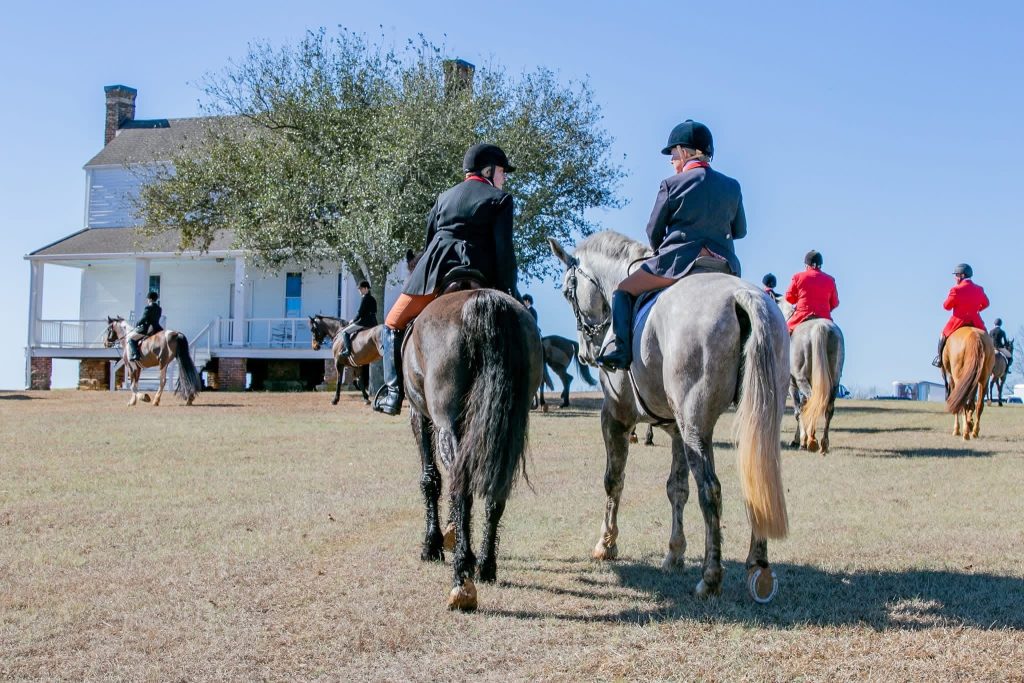 Group of hunt riders walking towards white house.