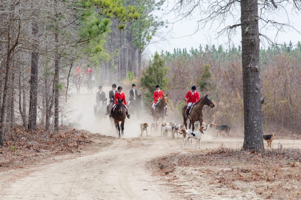 Several hunt riders with hounds on dusty trail.