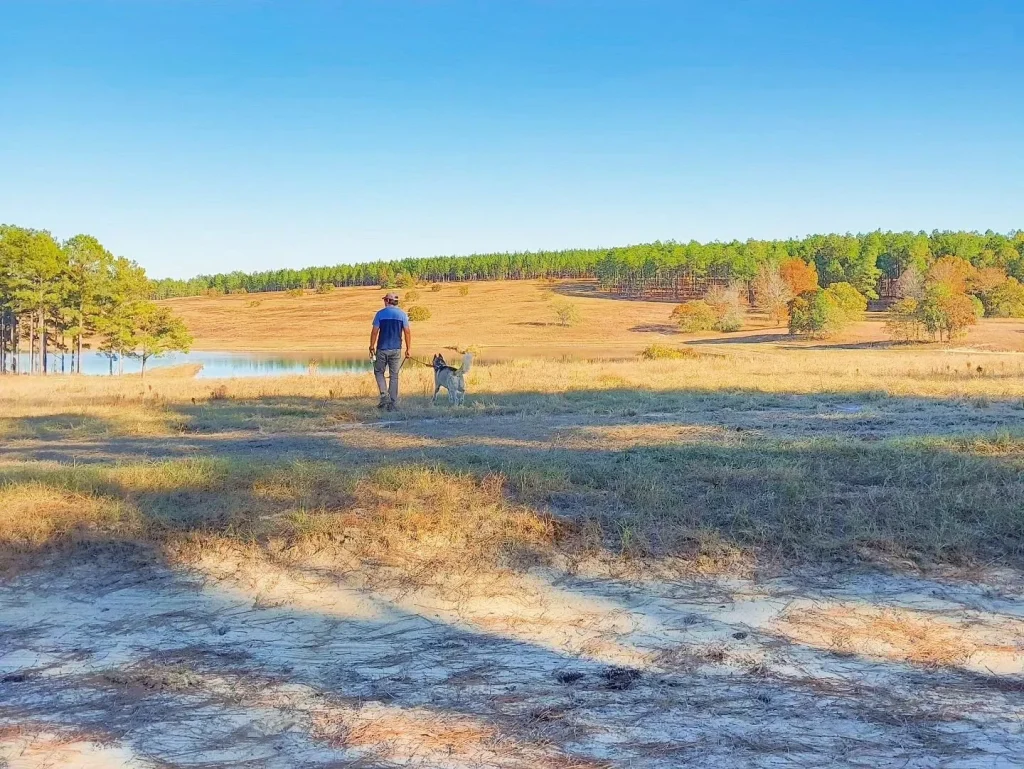 Man walking with dog through field with pond and trees.