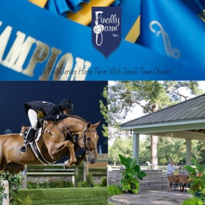 Collage with blue ribbon, hunter jumping , and pavilion.