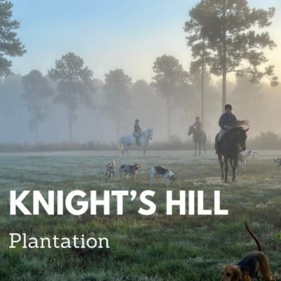 Knights hill plantation image with hunt riders and hounds in misty field.