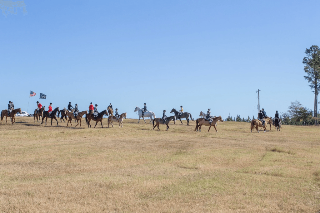 Several horses and riders walking around field.