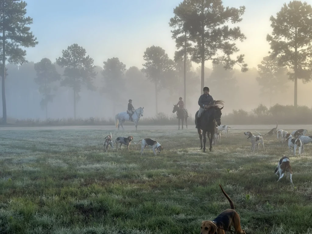 Three hunt riders with several hounds in misty field.