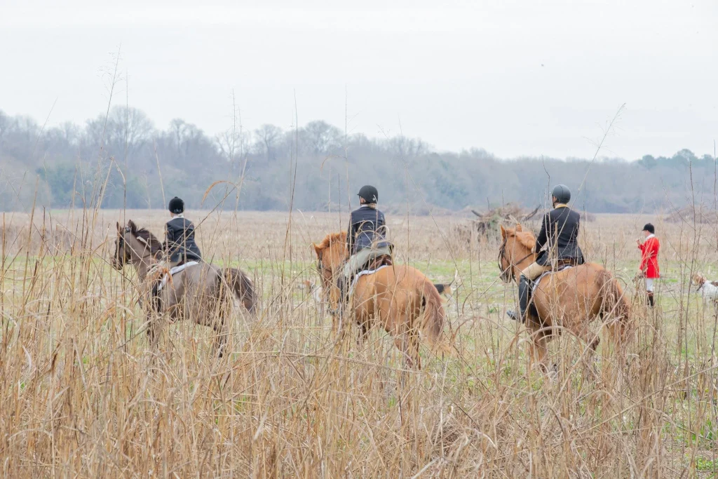 Three hunt riders on horses, huntsman with horn in field.