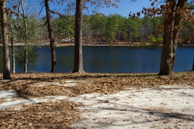 Lake surrounded by trees.